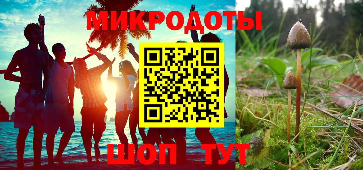 Псилоцибиновые грибы Psilocybe Карталы