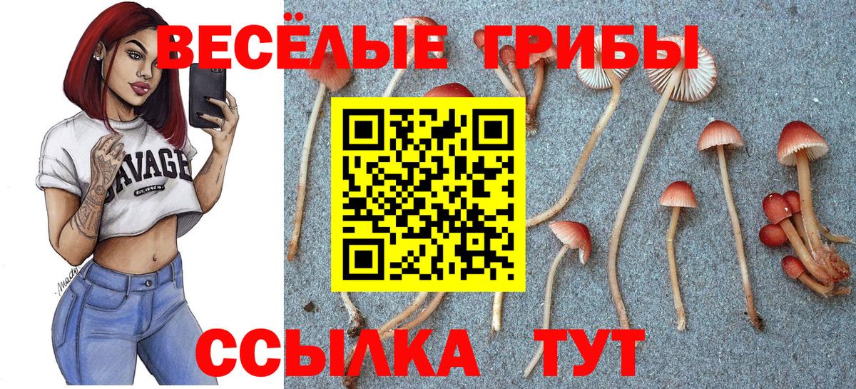 Псилоцибиновые грибы ЛСД  купить   Карталы  Вход с VPN 